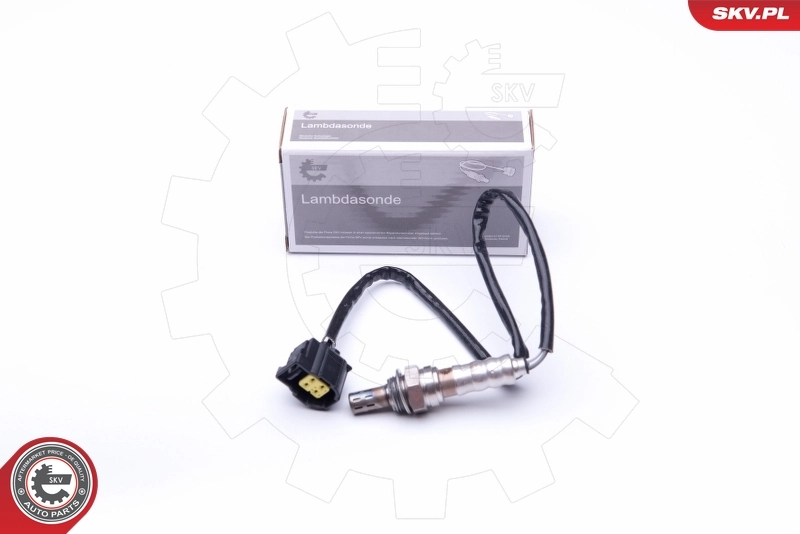 Oxygen Sensor